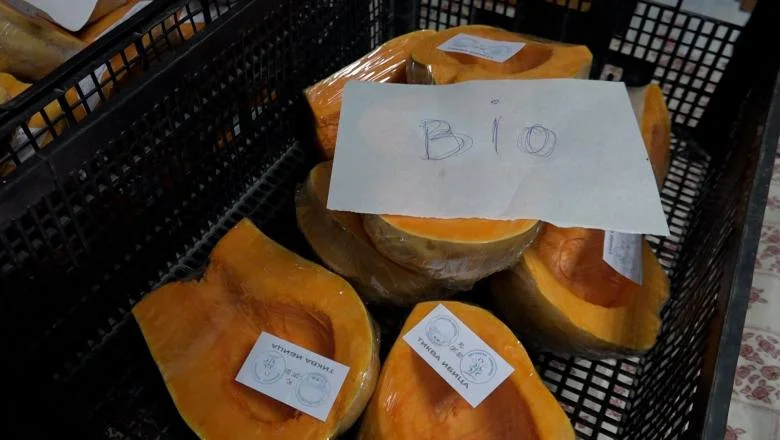 Vegyszermentes zöldségfélék Lukácsfalváról