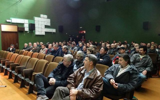 A Prosperitati Alapítvány pályázatainak ismertetése, Mohol (képek)