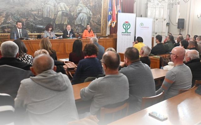 Közösségi meglátások