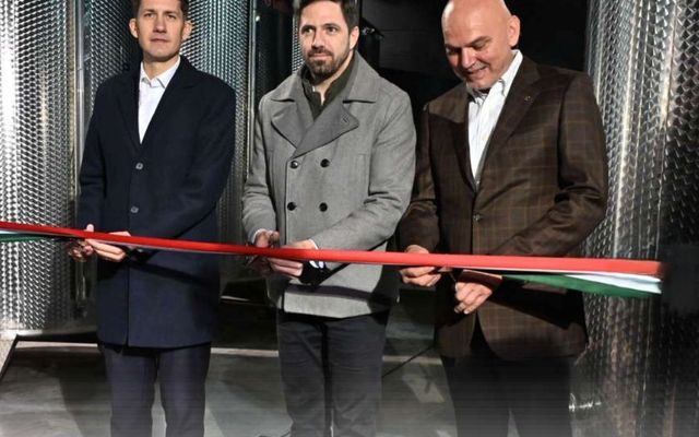 Életre kelt projektek