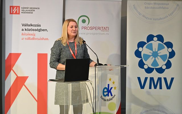 Vajdasági Mentorprogram: A sikeres fejlődés fóruma