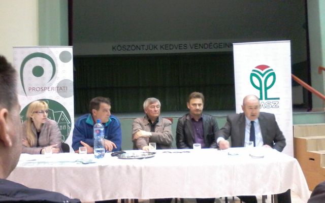 Ismertető a második körös pályázatokról, Királyhalom (képek)