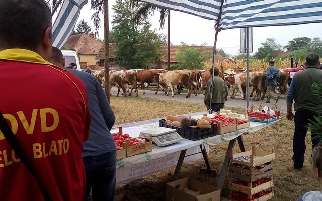 Paradicsomnapok és Prosperitati gépbemutató Lukácsfalván (képek)