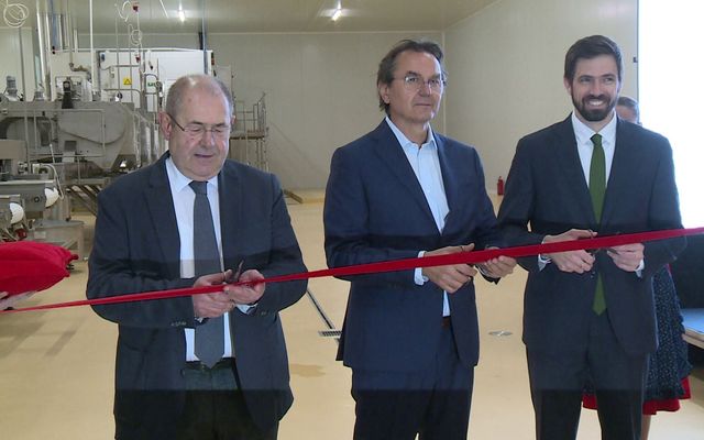 Átadták az Andex Kft. üzemét Palicson