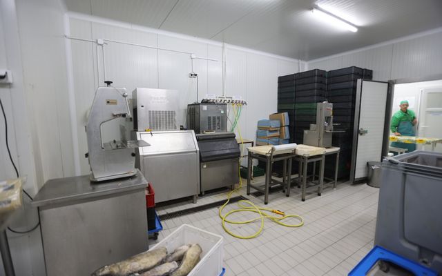 A Fish&Food, Szabó Árpád vállalkozó kiemelt jelentőségű közepes léptékű gazdasági fejlesztésének megtekintése