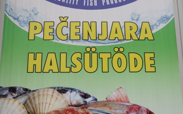 A Fish&Food, Szabó Árpád vállalkozó kiemelt jelentőségű közepes léptékű gazdasági fejlesztésének megtekintése
