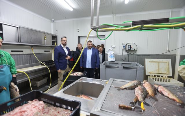 A Fish&Food, Szabó Árpád vállalkozó kiemelt jelentőségű közepes léptékű gazdasági fejlesztésének megtekintése