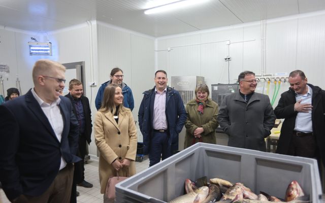 A Fish&Food, Szabó Árpád vállalkozó kiemelt jelentőségű közepes léptékű gazdasági fejlesztésének megtekintése
