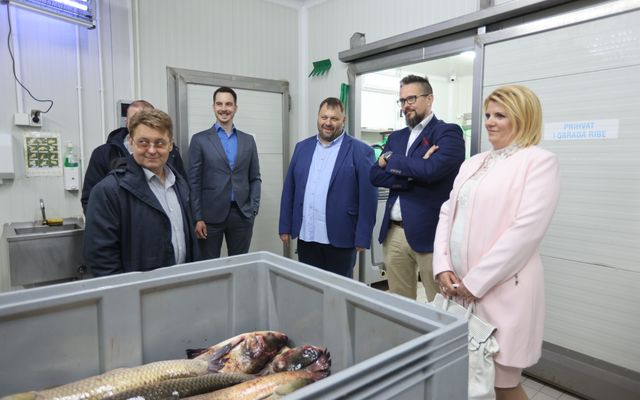 A Fish&Food, Szabó Árpád vállalkozó kiemelt jelentőségű közepes léptékű gazdasági fejlesztésének megtekintése