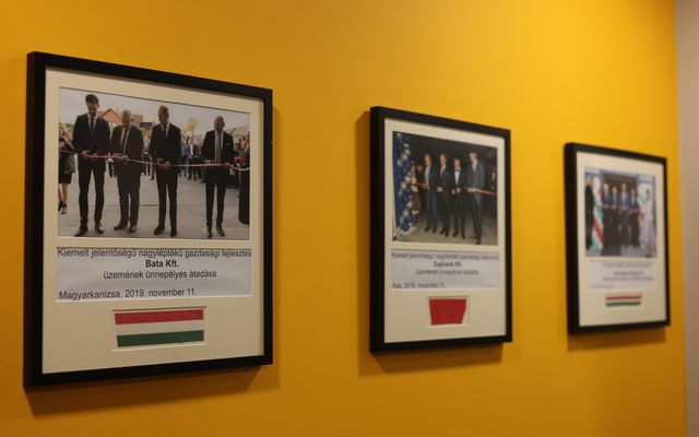 Juhász Bálint sajtótájékoztatója