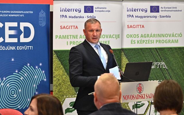 MAGYAR NAP ÉS ARANYÉRMEK