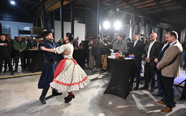 Életre kelt projektek