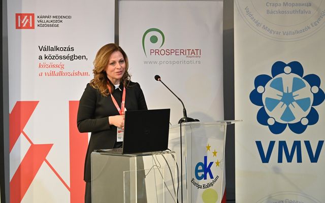 Vajdasági Mentorprogram: A sikeres fejlődés fóruma
