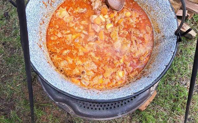 Ízek, hagyomány, közösség – VAJDASÁGI VÁGTA!