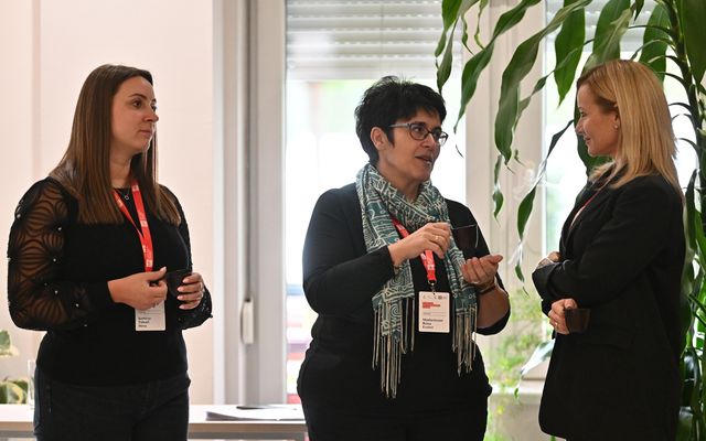 Vajdasági Mentorprogram: A sikeres fejlődés fóruma