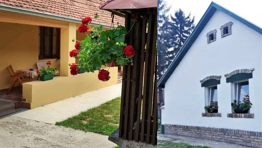 Falusi vendégházak nyílnak Pacséron