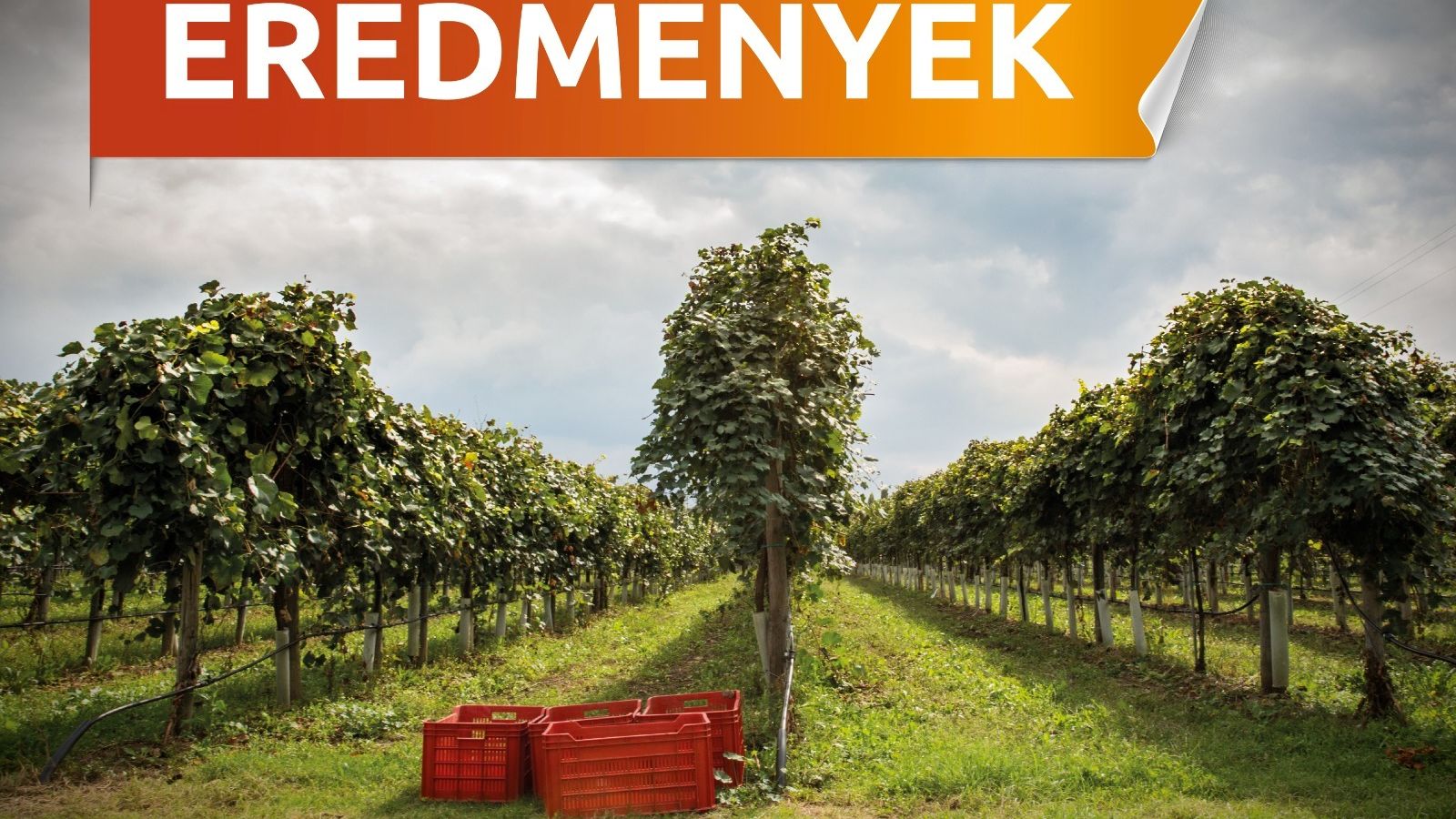 Mezőgazdasági fejlesztések