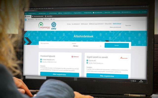 Vajdasági Magyar Vállalkozói Adatbázis – Összekötjük a lehetőségeket!