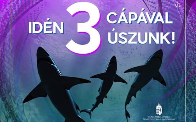 Idén 3 cápával úszunk a vállalkozói mélyvízben!