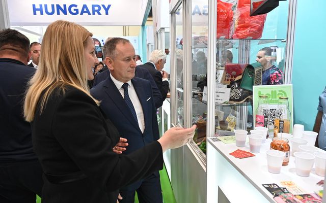 MAGYAR NAP ÉS ARANYÉRMEK