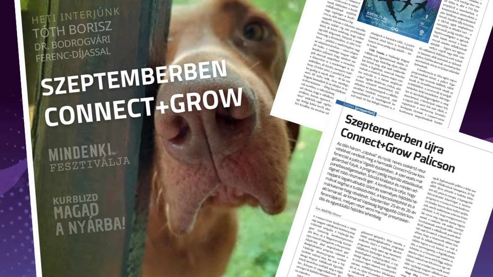 Szeptemberben Connect+Grow!