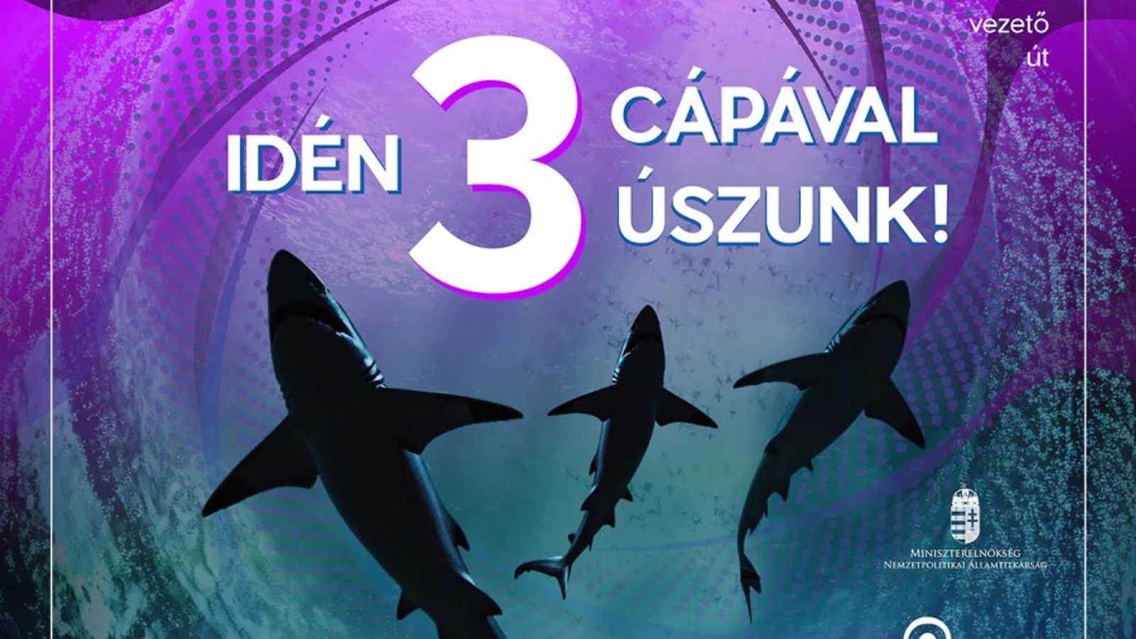 Szeptemberben újra Connect+Grow Palicson