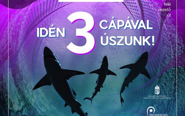 Szeptemberben újra Connect+Grow Palicson