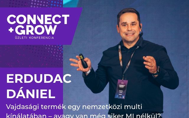 Lehetsz még sikeres mesterséges intelligencia nélkül?