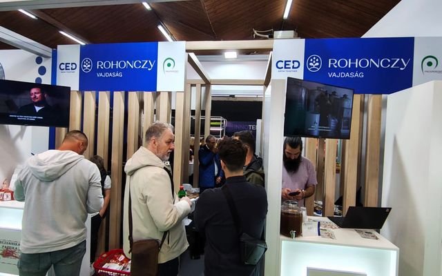 A MINŐSÉG ARCAI