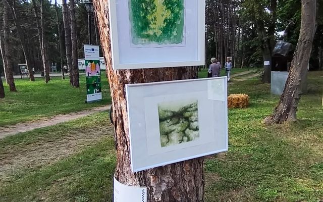 VAJDASÁGI ALAPANYAGOK ÚJ KÖNTÖSBEN