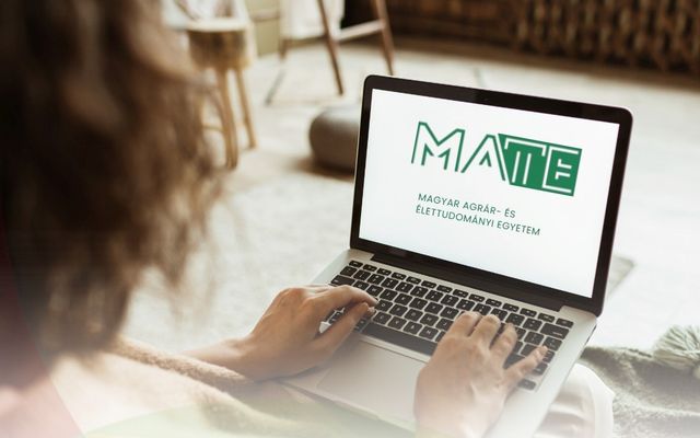 TANULJ MAGYARUL, ÉPÍTS JÖVŐT ITTHON