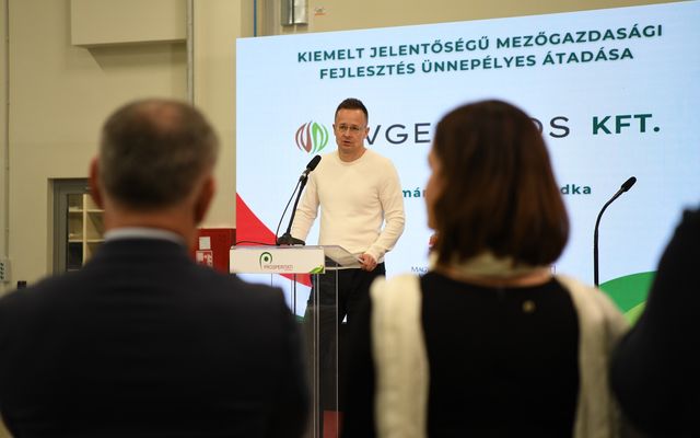 JELENLÉTÜNK A JÖVŐNK