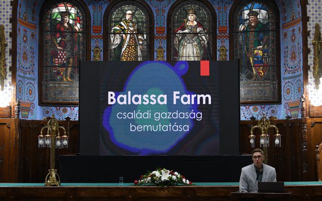 Helyi gazdaság, közösségi fejlődés
