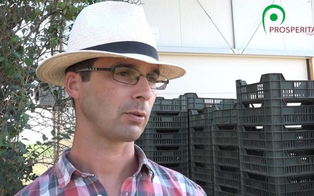 Zöldség ,,zölden”, avagy garantáltan vegyszermentes minőség