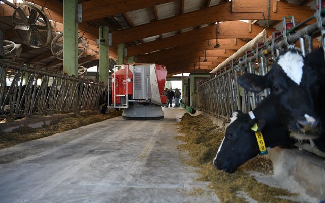 Balassa farm kiemelt jelentőségű közepes- és nagyléptékű gazdasági fejlesztés ünnepélyes átadása