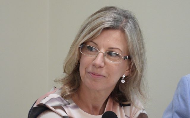 Közvitán az idegenforgalmi stratégia (képek)
