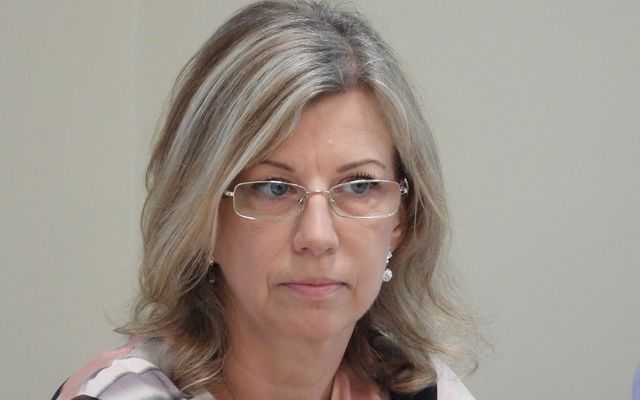 Közvitán az idegenforgalmi stratégia (képek)