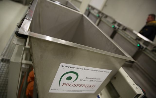 A martonosi Telek Paprika kft. bővített üzemének átadása (képek)