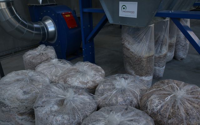 Gyárcsarnok átadó ünnepség – EM Commerce Kft., Topolya (képek)