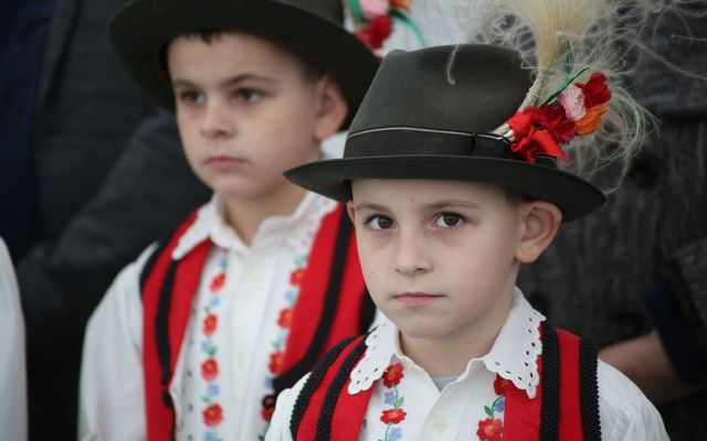 Holló Company Kft. – sertésfarm ünnepélyes átadása (képek)
