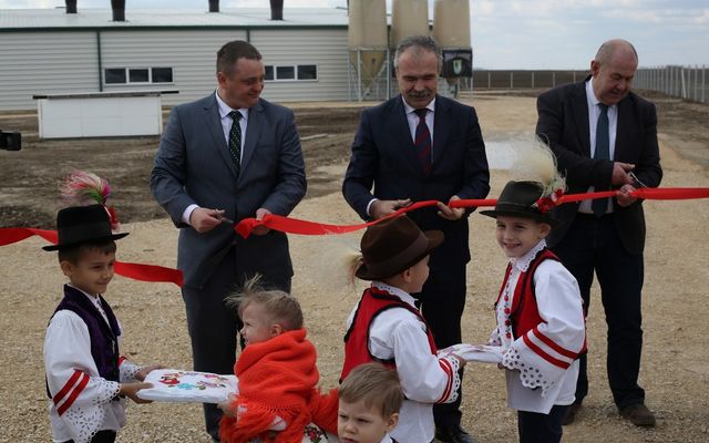 Holló Company Kft. – sertésfarm ünnepélyes átadása (képek)