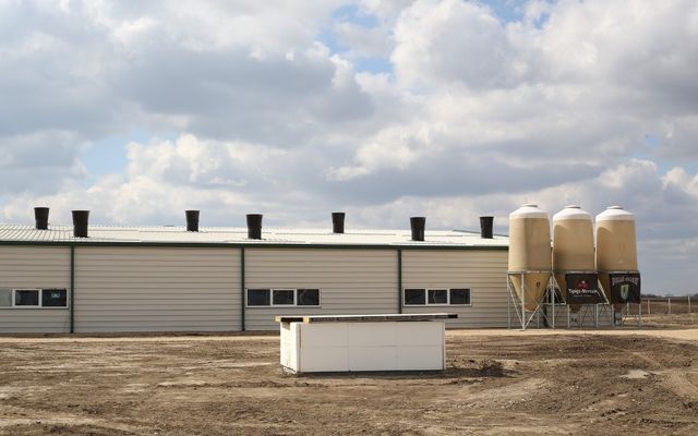 Holló Company Kft. – sertésfarm ünnepélyes átadása (képek)