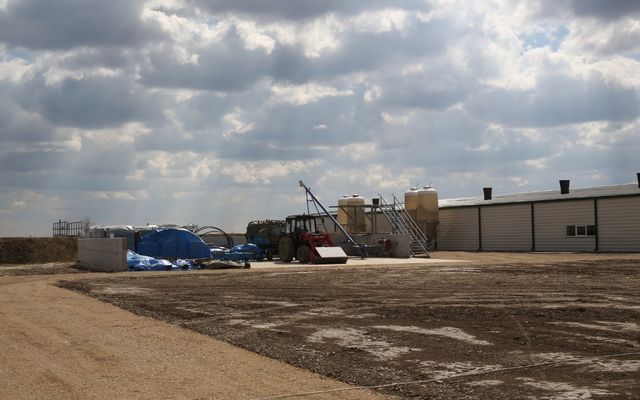 Holló Company Kft. – sertésfarm ünnepélyes átadása (képek)