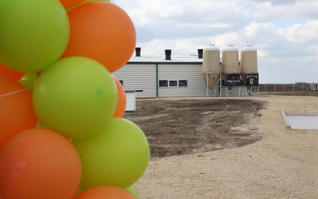 Holló Company Kft. – sertésfarm ünnepélyes átadása (képek)