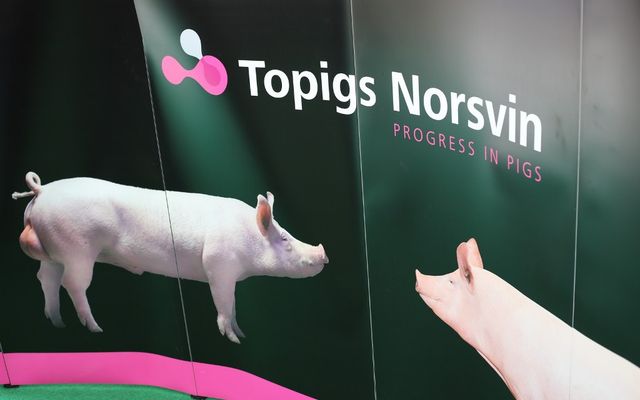 Holló Company Kft. – sertésfarm ünnepélyes átadása (képek)