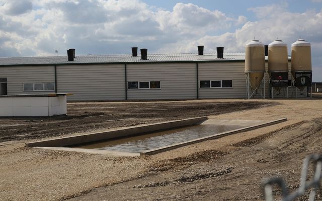 Holló Company Kft. – sertésfarm ünnepélyes átadása (képek)