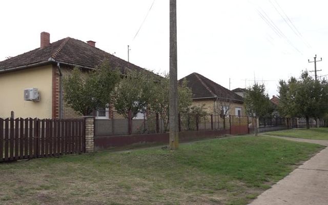 Juhász Bálint: A vajdasági magyarok a szülőföldön képzelik jövőjüket