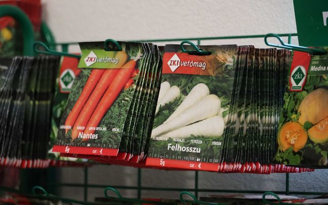 A zentagunarasi Fitochem Kft kiemelt jelentőségű közepes léptékű gazdasági fejlesztés ünnepélyes átadása 