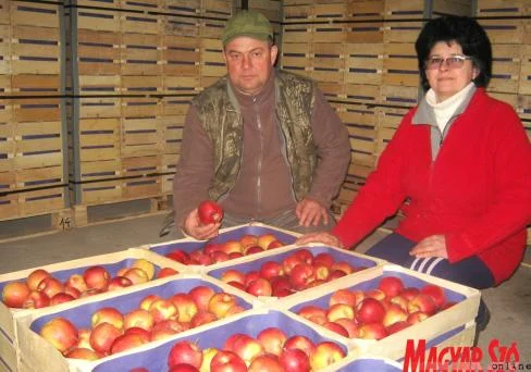 Ha sok terem, akkor nincs ára