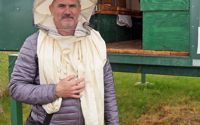A horgosi Pilisi Attila méhész százhúsz méhcsaládot lát el